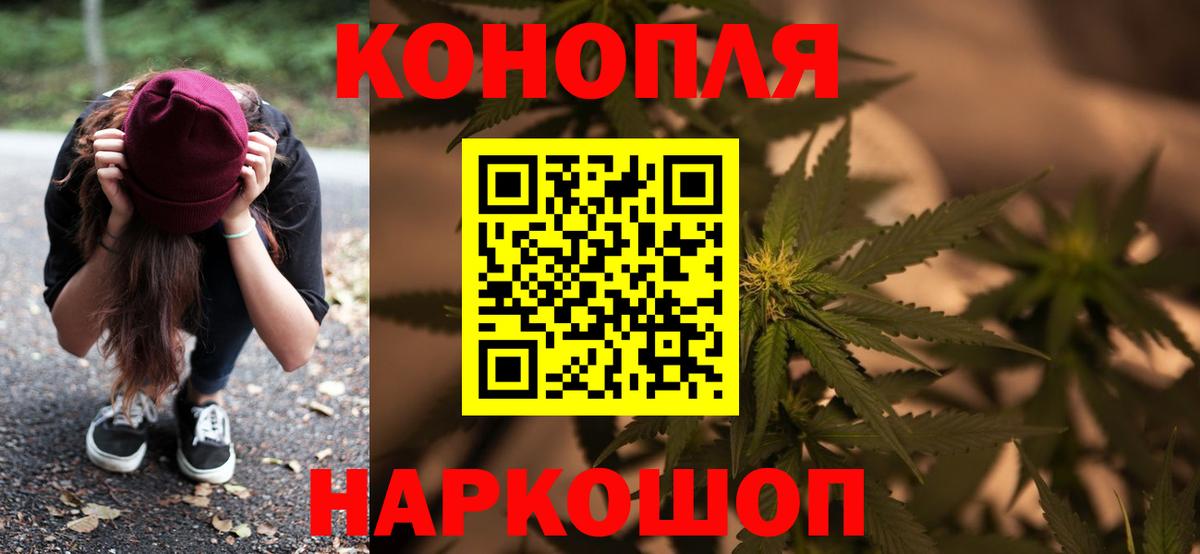 Бошки марихуана план  Вход с VPN  Звенигород  Конопля марихуана  Шишки марихуана план 